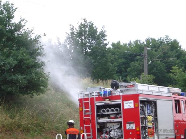 Bild 6 von 19 4. Einsatz: Bahndammbrand - Mit Monitor (Wasserwerfer auf dem Dach) und Schnellangriff wird der Bahndamm bewässert. (Auf dem Bild ist der Nebel vom Strahrohr zu sehen)