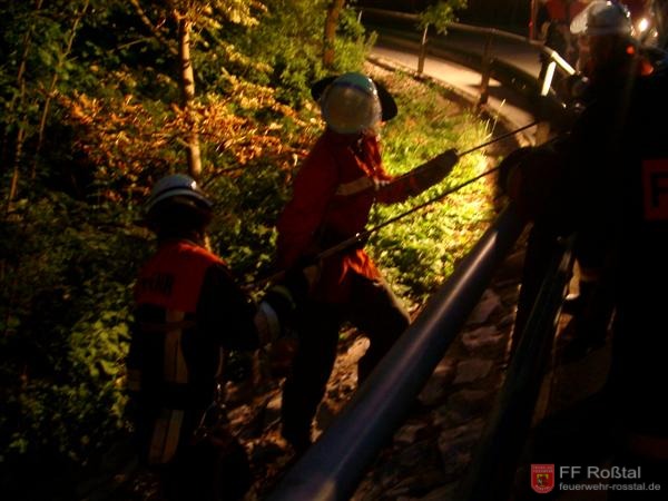 Bild 12 von 19 11. Einsatz: Eine Person soll einen Hang hinuntergestürzt sein. Zwei Feuerwehrmänner seilen sich ab.
