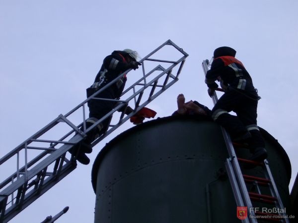 Bild 3 von 17 