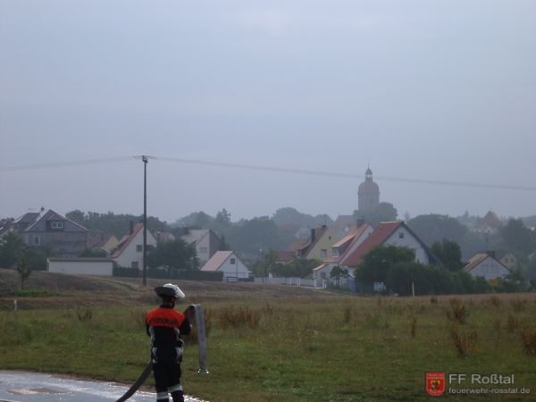 Bild 8 von 17 