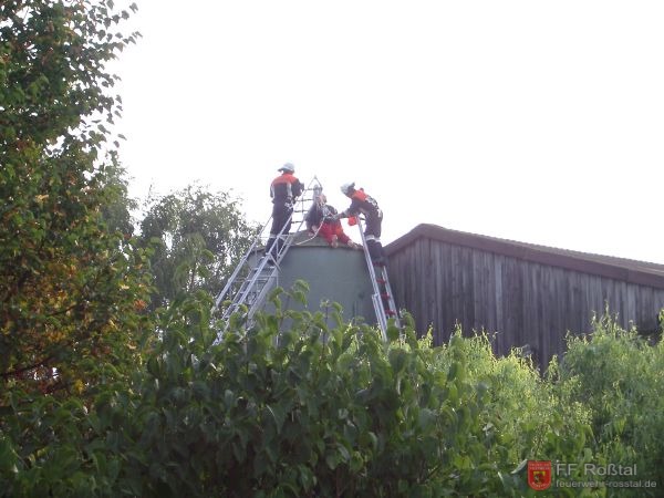 Bild 11 von 17 