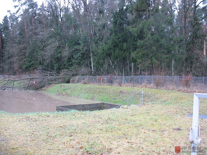 Bild 5 von 15 Dieser Baum fiel in ein Klärbecken