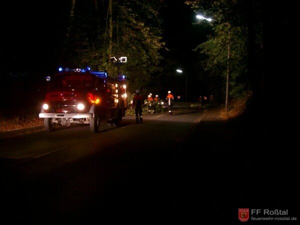 Bild 2 von 5 