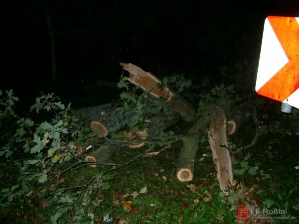 Bild 3 von 5 
