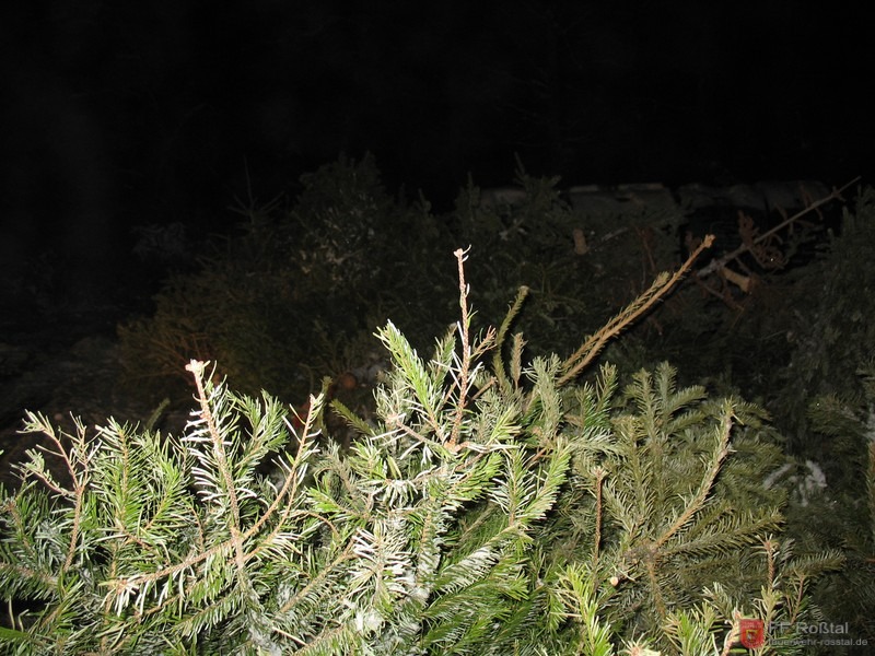 Bild 2 von 7 
