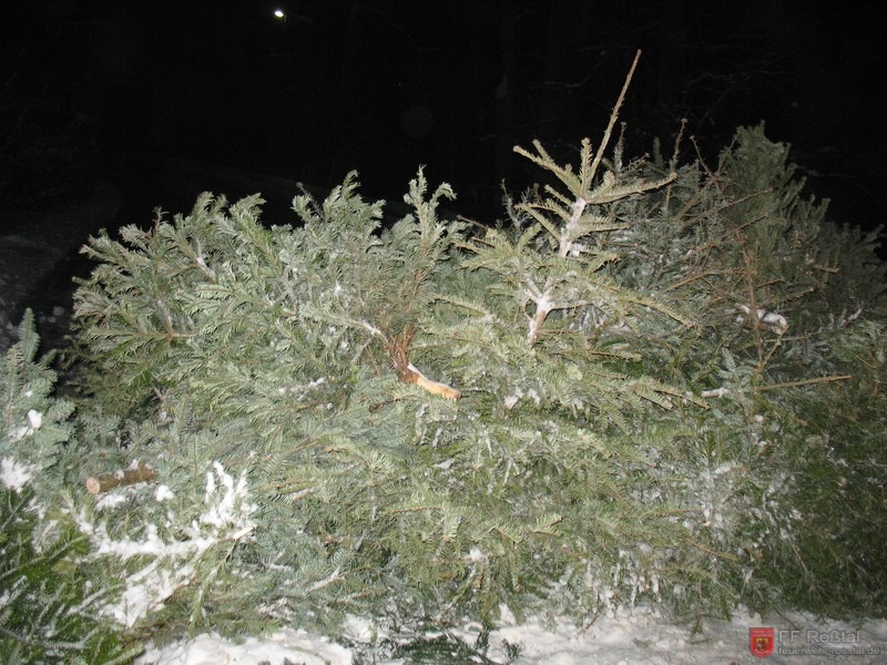 Bild 1 von 7 