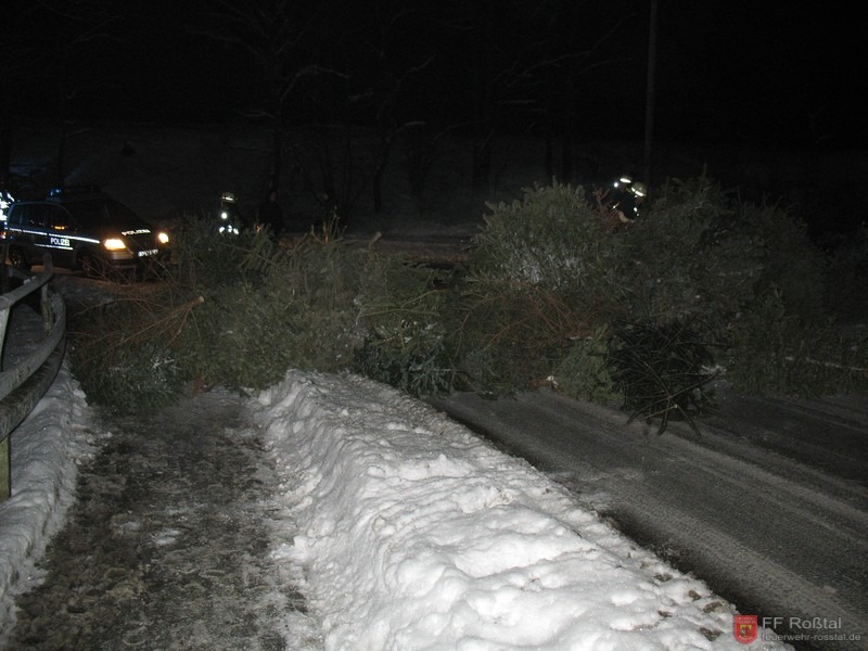 Bild 4 von 7 