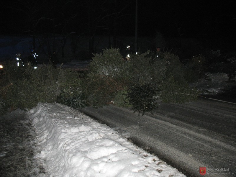 Bild 5 von 7 
