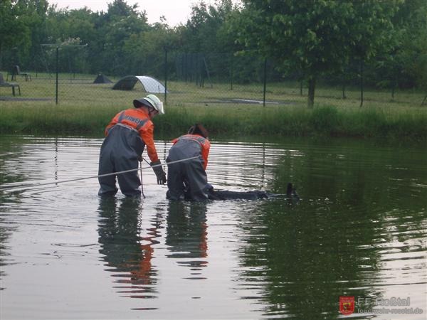 Bild 3 von 5 ... und das Opfer aus dem Wasser geholt.