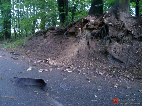 Bild 4 von 9 Etwa 100m weiter zurück schrammte das Fahrzeug an den Wurzeln dieses Baumes vorbei und überschlug sich.