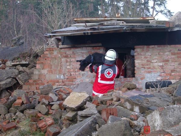 Bild 2 von 25 Ein Hund der Rettungshundestaffel hat bereits eine verschüttete Person gefunden.