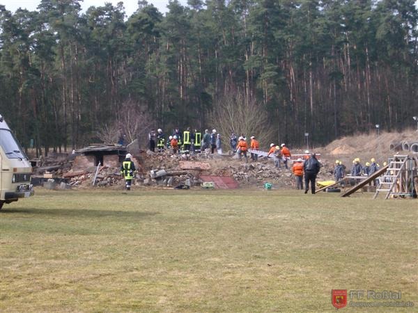 Bild 17 von 25 Reges Getümmel auf dem Schutthaufen.