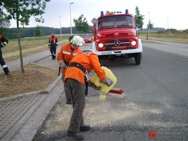 Bild 8 von 19 5. Einsatz: Abbinden einer Ölspur.