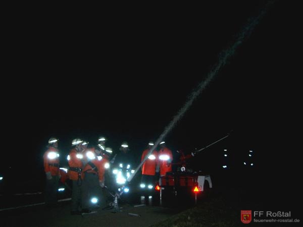 Bild 9 von 10 Der Wasserwerfer der FF Roßtal im Einsatz.