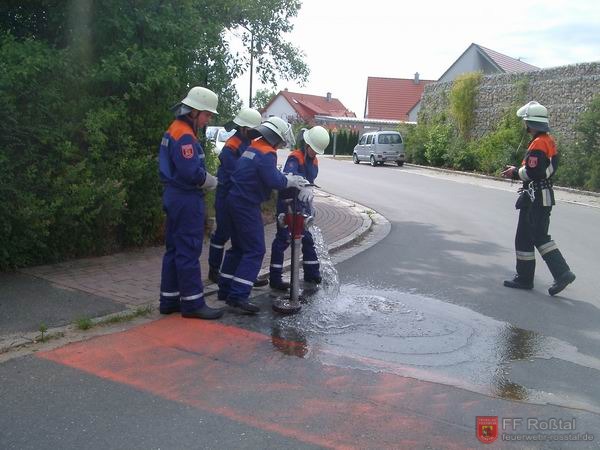 Bild 2 von 16 