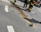 Vorschaubild für Einsatz